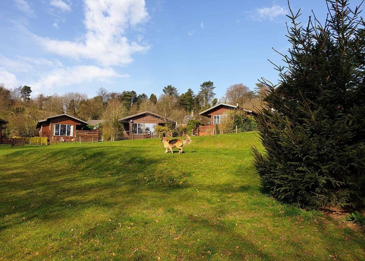 Rudyard Lake Lodges ภายนอก รูปภาพ